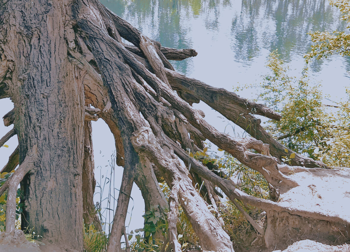 freizuegigkeitsvermoegen-3