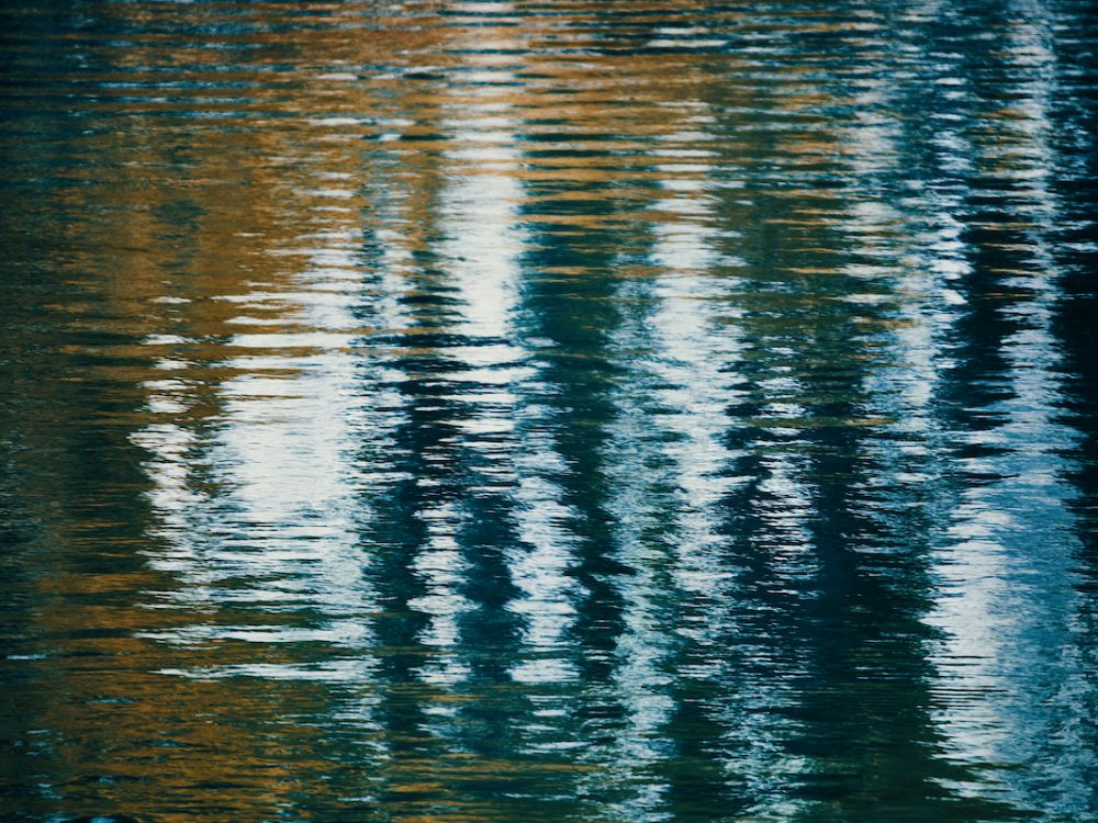 bild-charisma-fonds-tareno-1